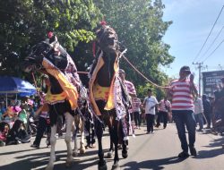 Budayawan Sumenep ini Sebut Pemkab Gelar Festival Jaran Tandhang, Bukan Jaran Serek
