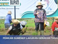 Pemkab Sumenep Gelar Gerakan Tanam Padi untuk Perkuat Ketahanan Pangan