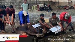 16 Ekor Sapi Disembelih PT ESM, Berkah yang Dinantikan Warga Setiap Idul Adha