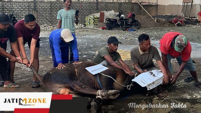 16 Ekor Sapi Disembelih PT ESM, Berkah yang Dinantikan Warga Setiap Idul Adha