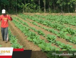 Komisi II DPRD Sumenep Minta Pemkab Segera Tetapkan TIHT 2026