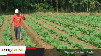 Komisi II DPRD Sumenep Minta Pemkab Segera Tetapkan TIHT 2026